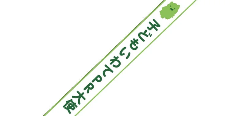 PR大使たすき