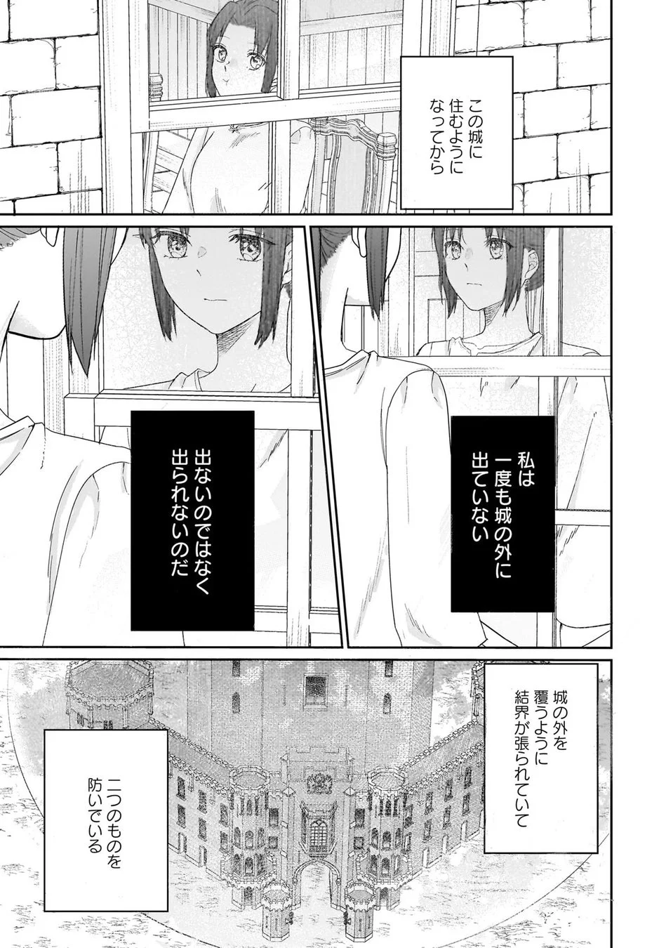 城に閉じ込められた理由