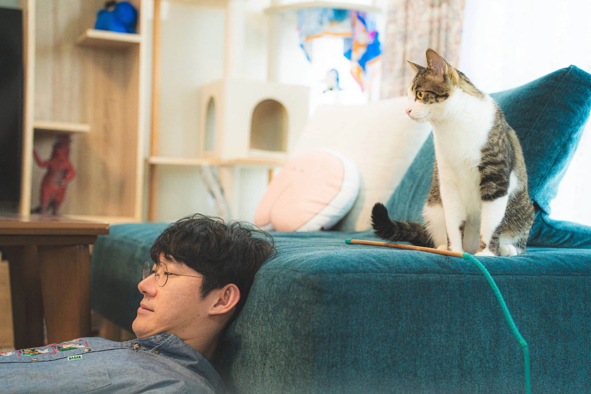 ソファにもたれかかる男性と、その隣のソファに座る猫の穏やかな日常風景