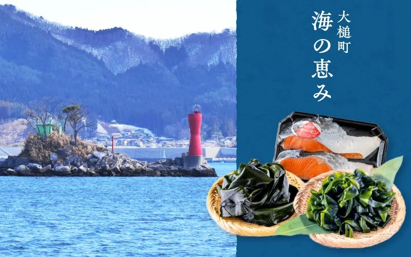 大槌の海の恵み サーモン
