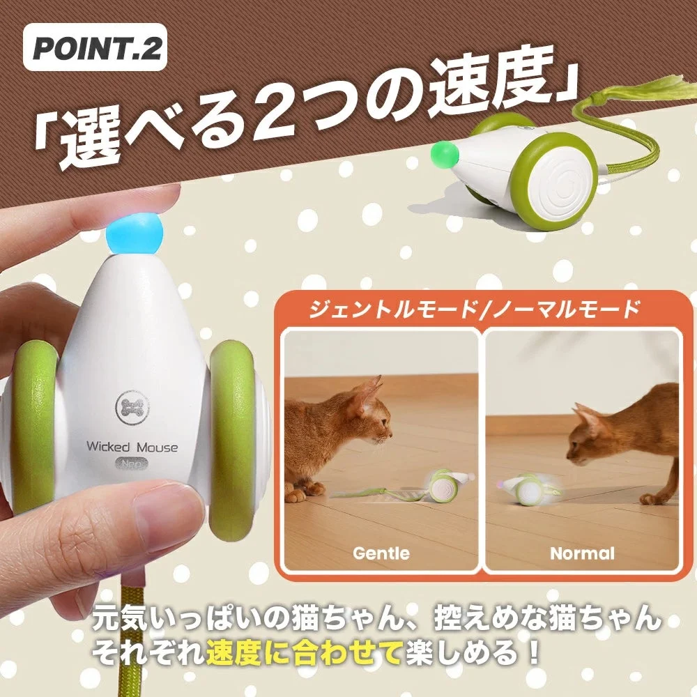 2つの速度モードと猫