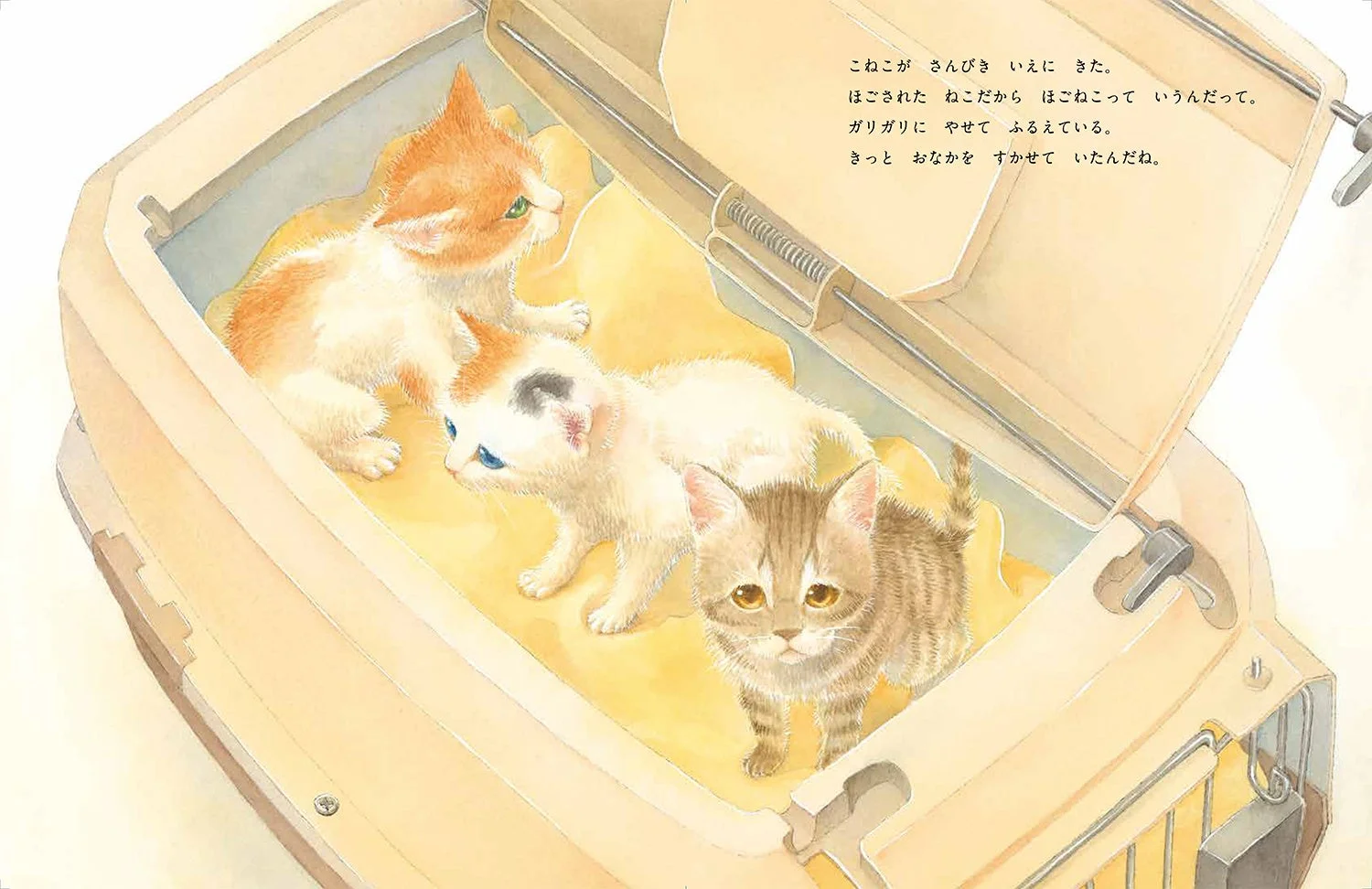ペットキャリアの中の子猫たち