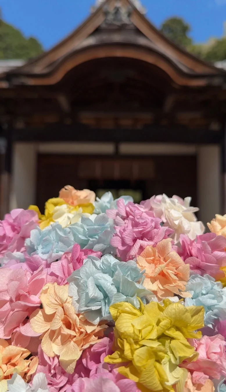 カラフルな花みくじ