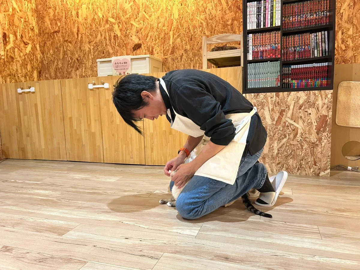 男性と猫の触れ合い