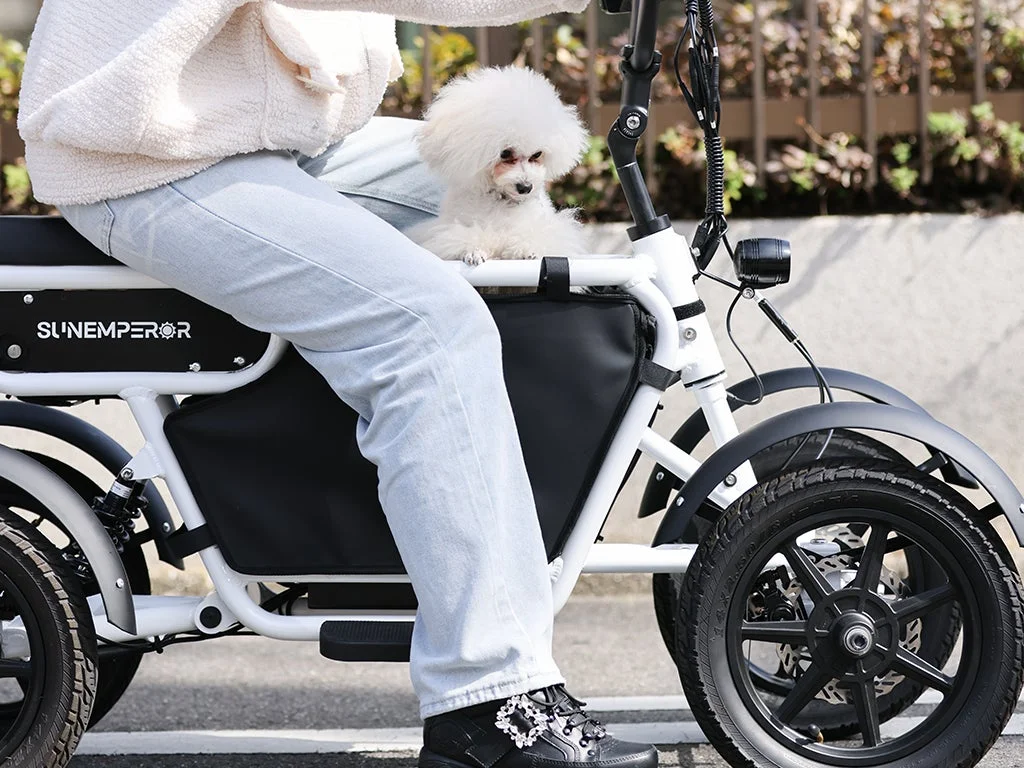 LBIRDと犬