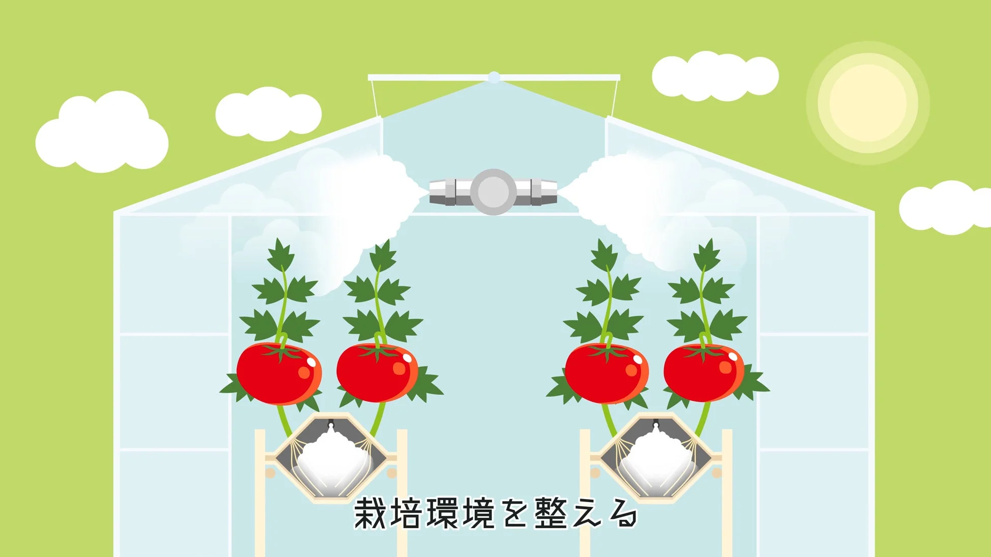 温室、トマト、栽培、農業、環境制御、ミスト、水耕栽培、植物工場、野菜、育成