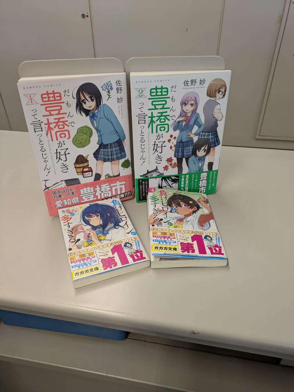 佐野妙さんと雨森たきびさんの作品