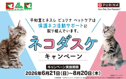 ネコダスケキャンペーンの告知ポスター
