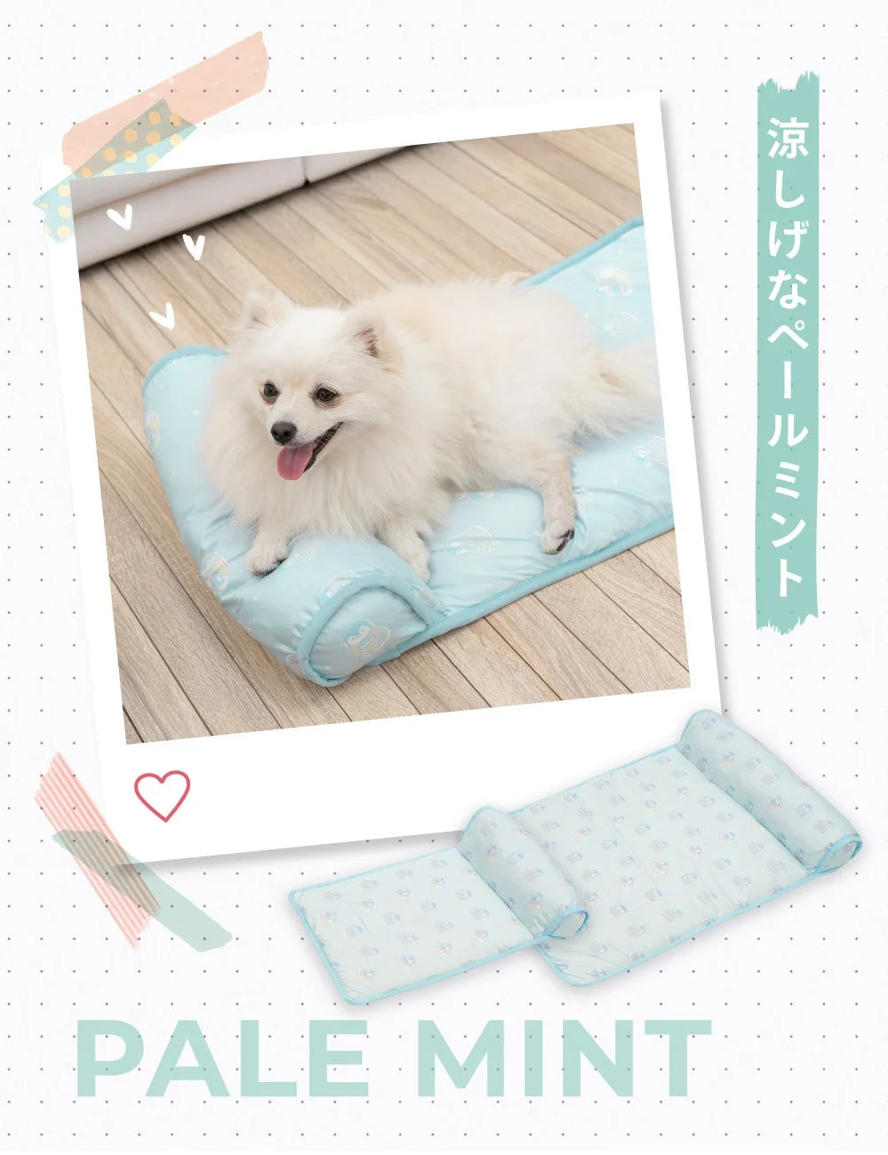 ペールミント色の涼感マットでくつろぐポメラニアン