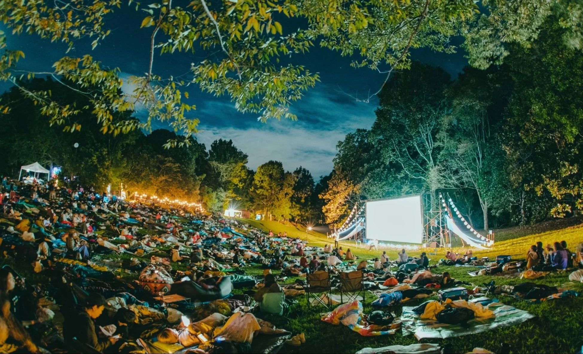 広々とした空間で野外映画を鑑賞する人々