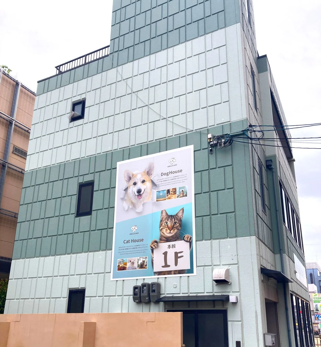 ANELLA CAFE 外観