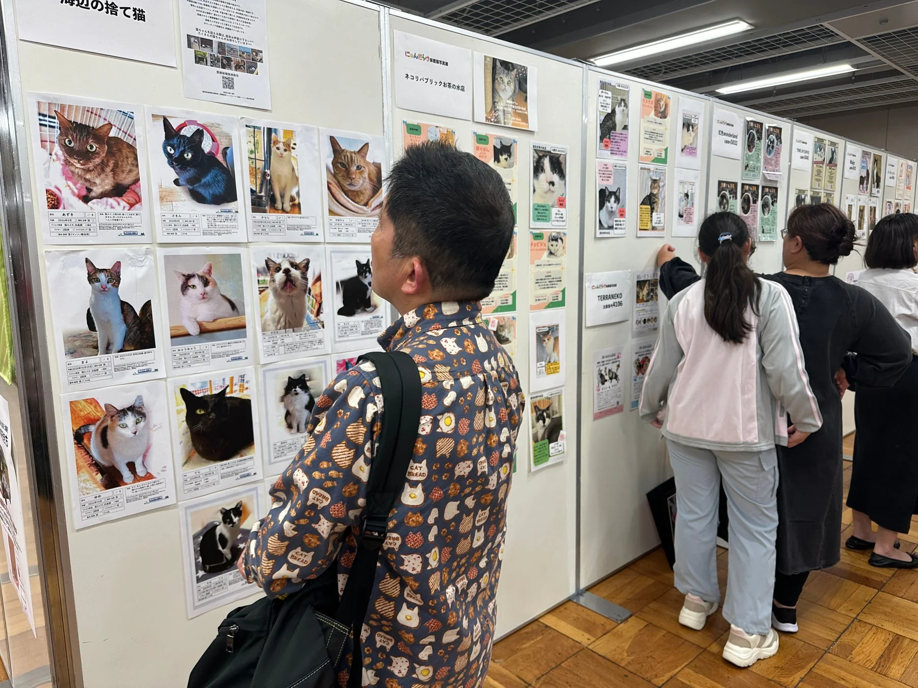保護猫譲渡会のような展示