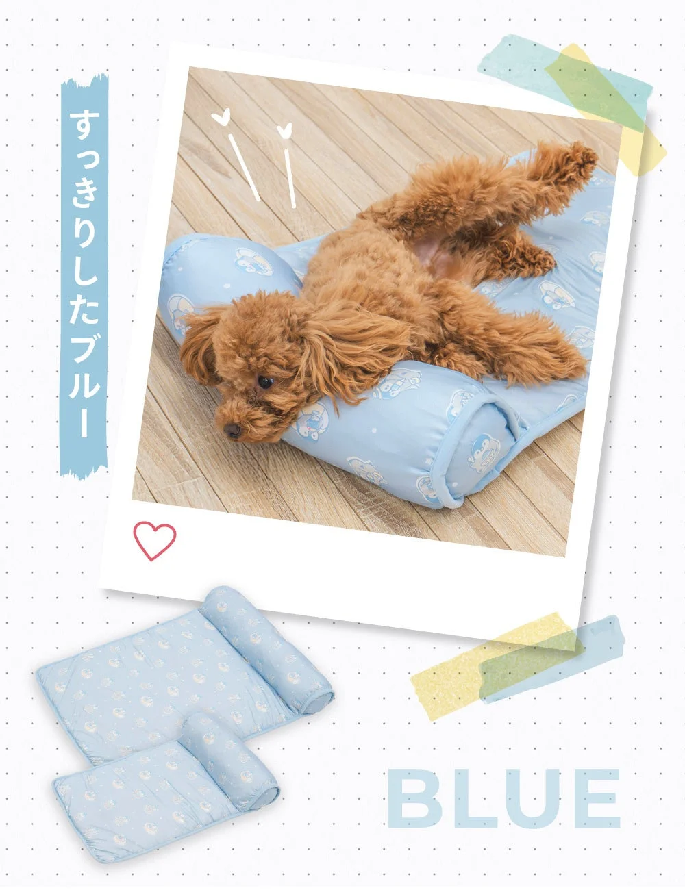 青いペットクッションでくつろぐトイプードル