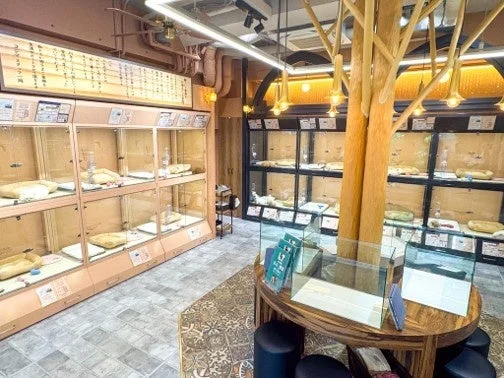 ペットショップの店内、ショーケース