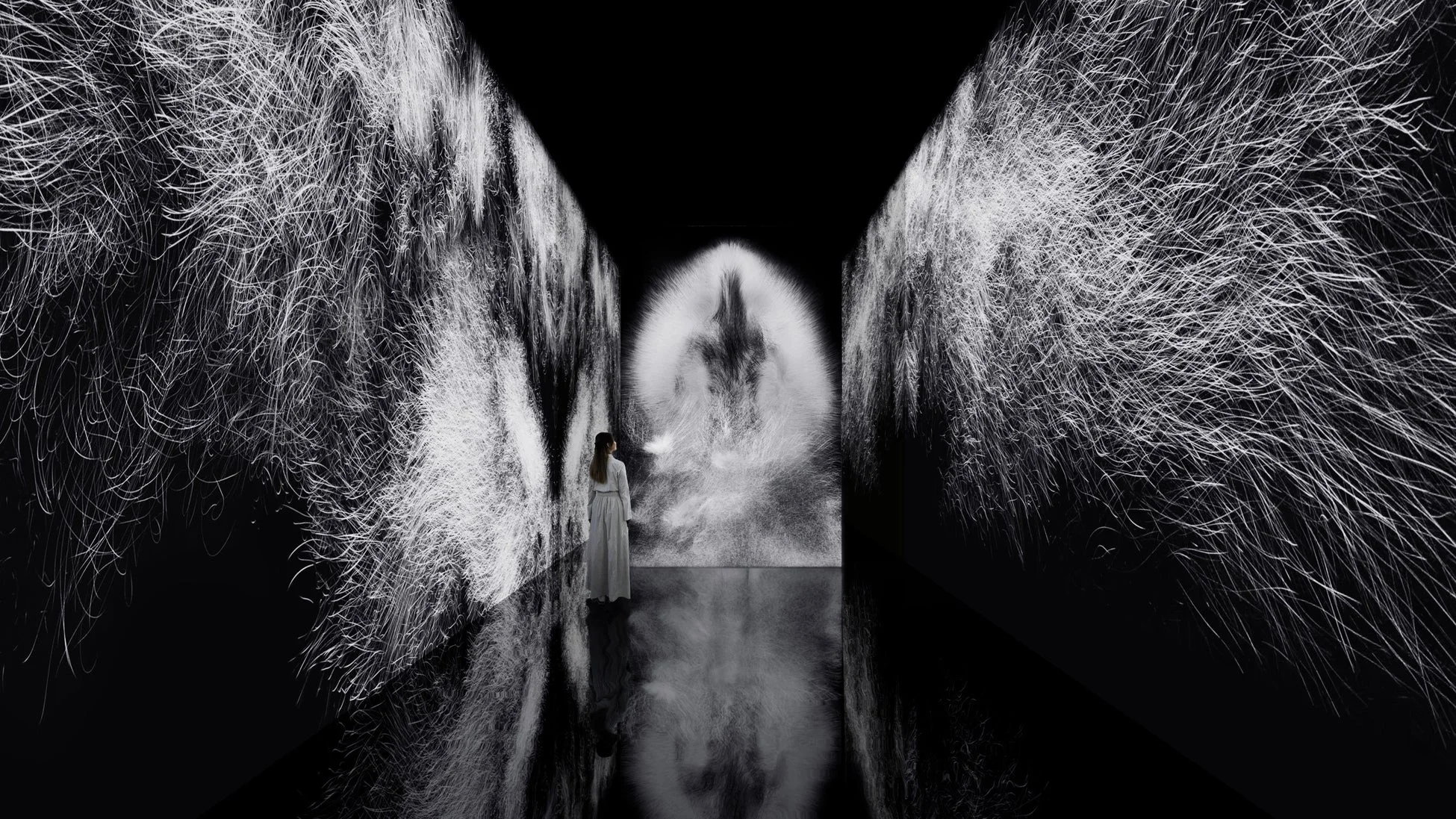 Dissipative Figures - Murmuration