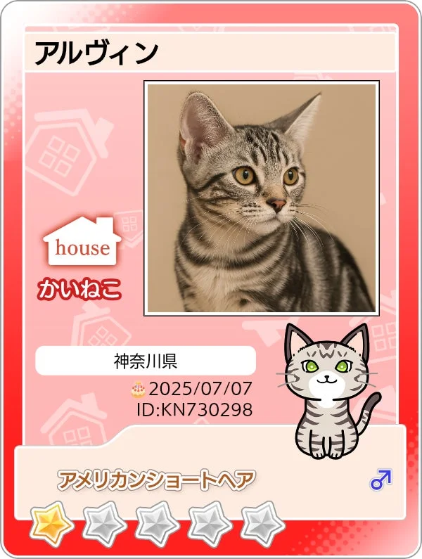 かいねこカードの例