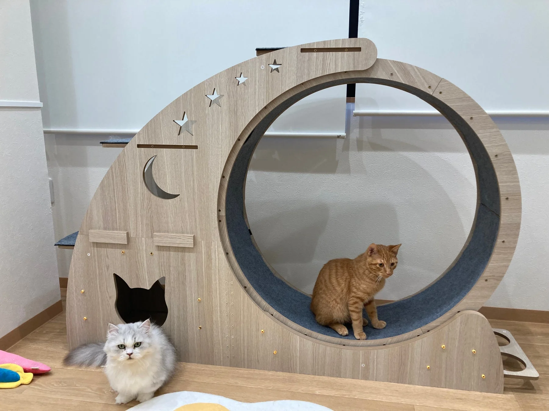 キャットタワーでくつろぐ猫たち