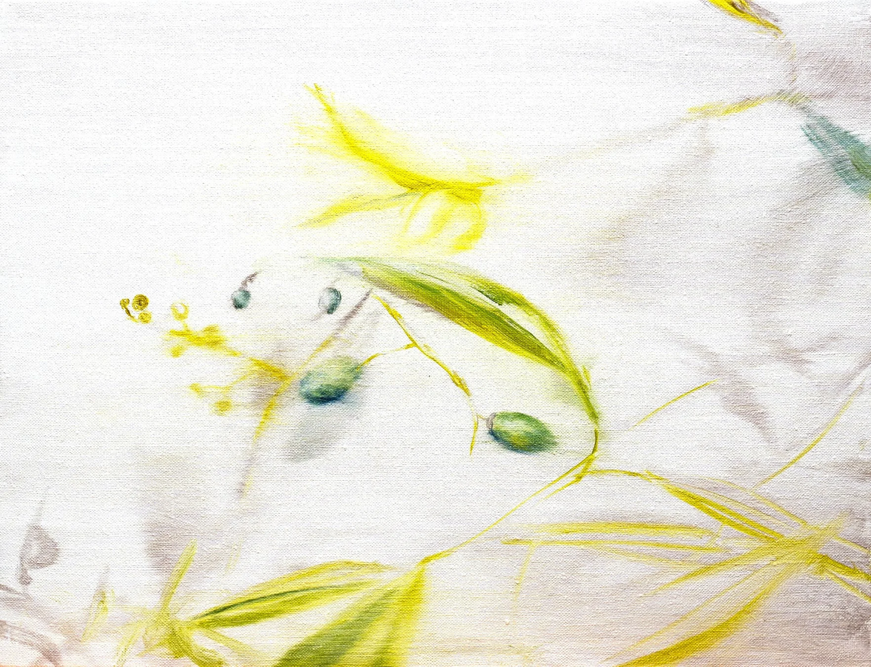 蔵野由紀子氏による抽象的な植物画