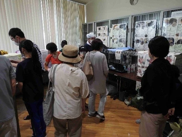 譲渡会会場の様子