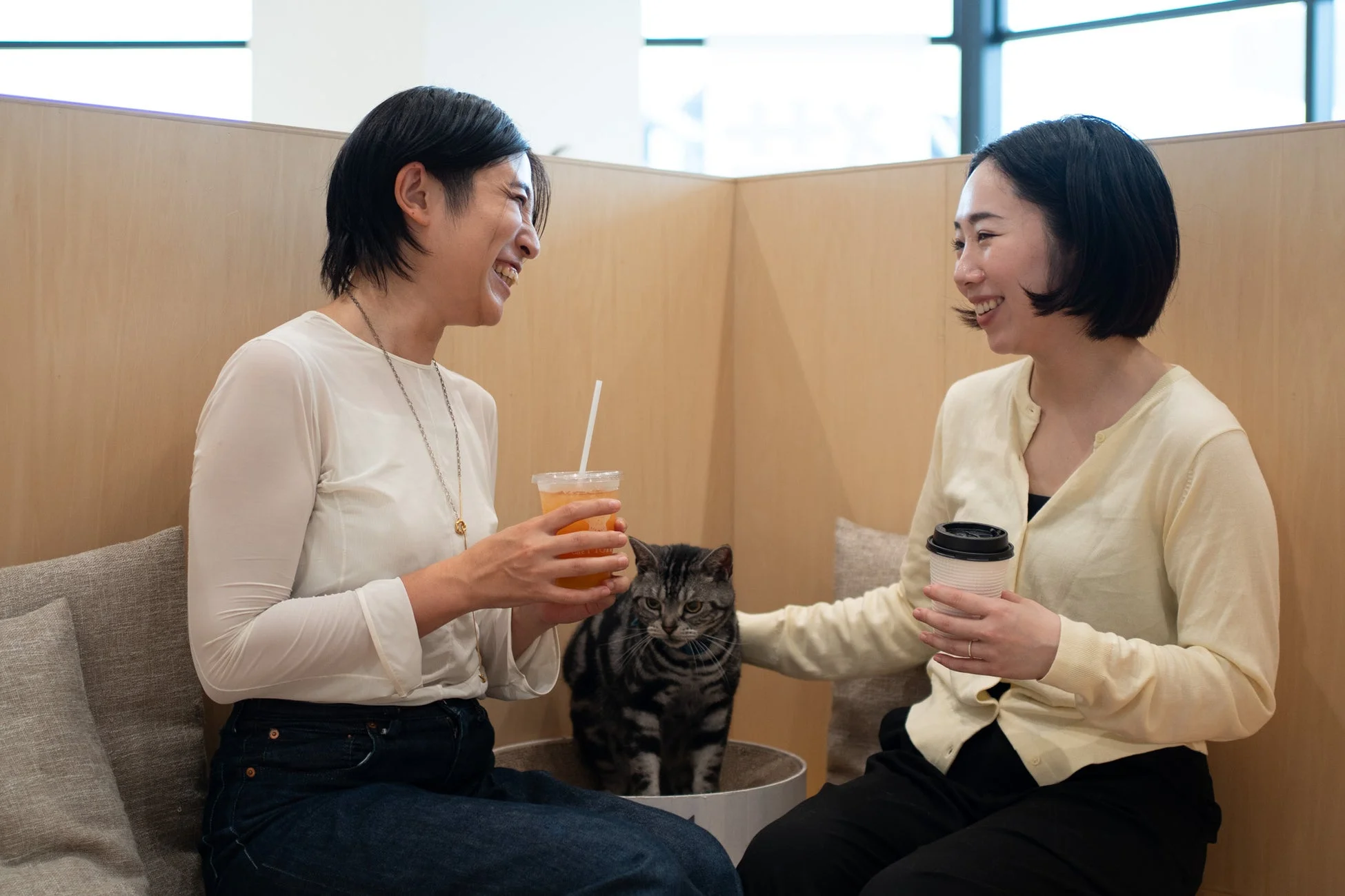 猫を囲んで会話する女性たち