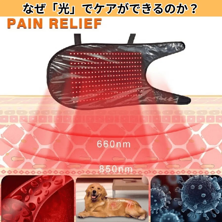 光療法が痛み緩和に役立つことを説明する図