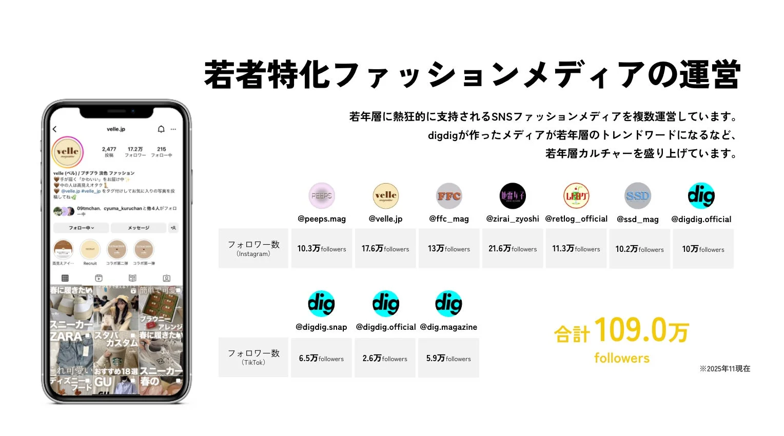 digdigのSNSメディア運営実績