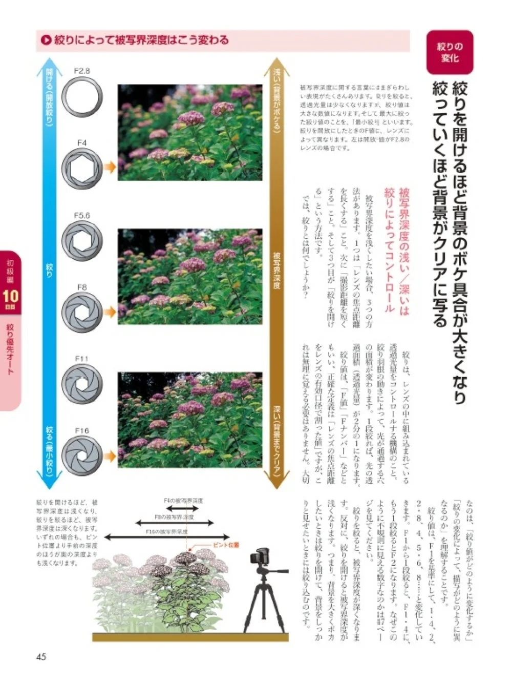 絞りによって被写界深度はこう変わる