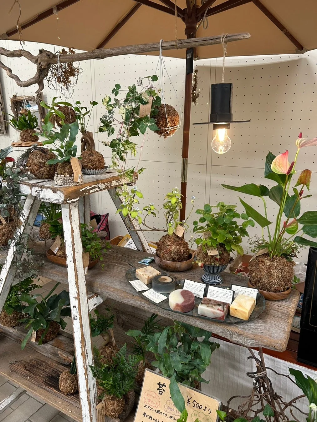 苔玉や手作り石鹸