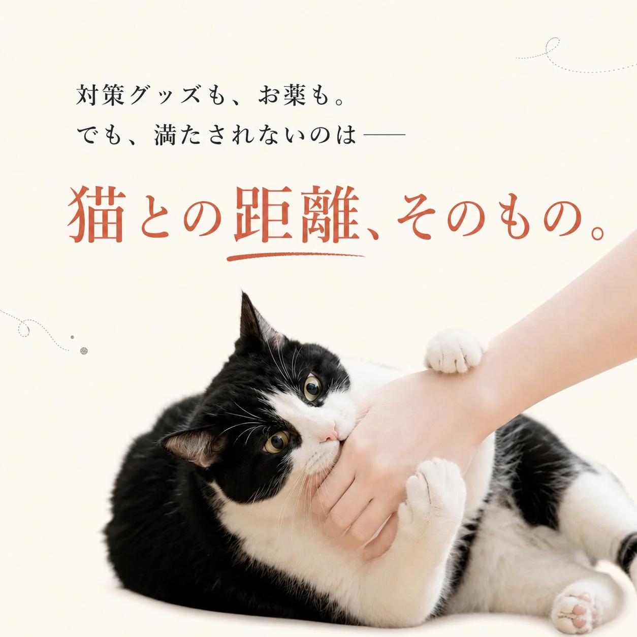 猫と人の手