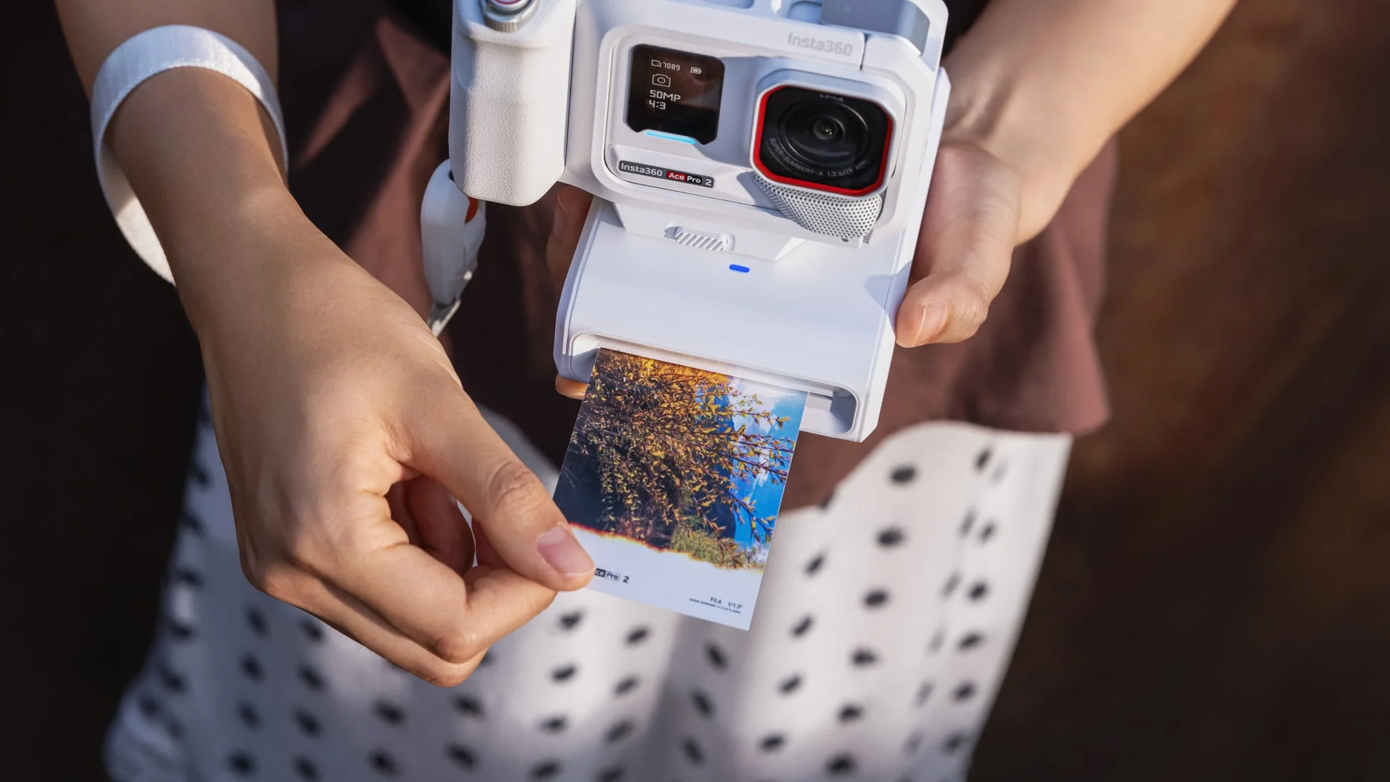 Insta360 Ace Pro 2とポケットプリンターでプリントされた紅葉の写真