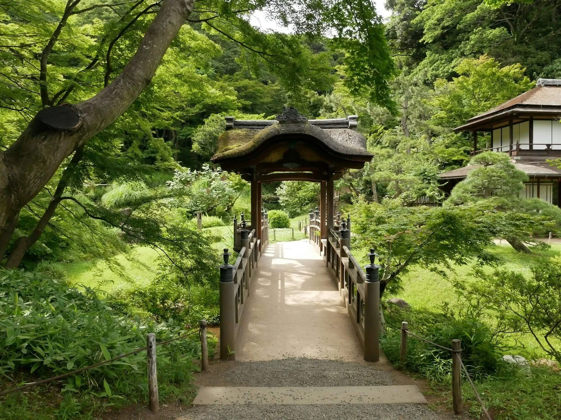 日本庭園の屋根付き橋