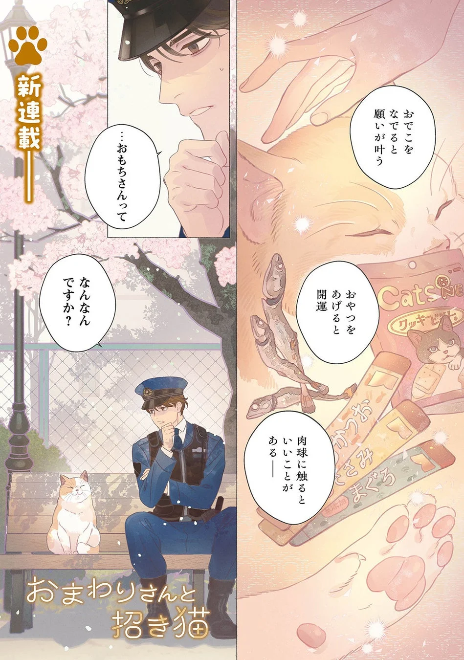 おもちさんってなんなんですか？