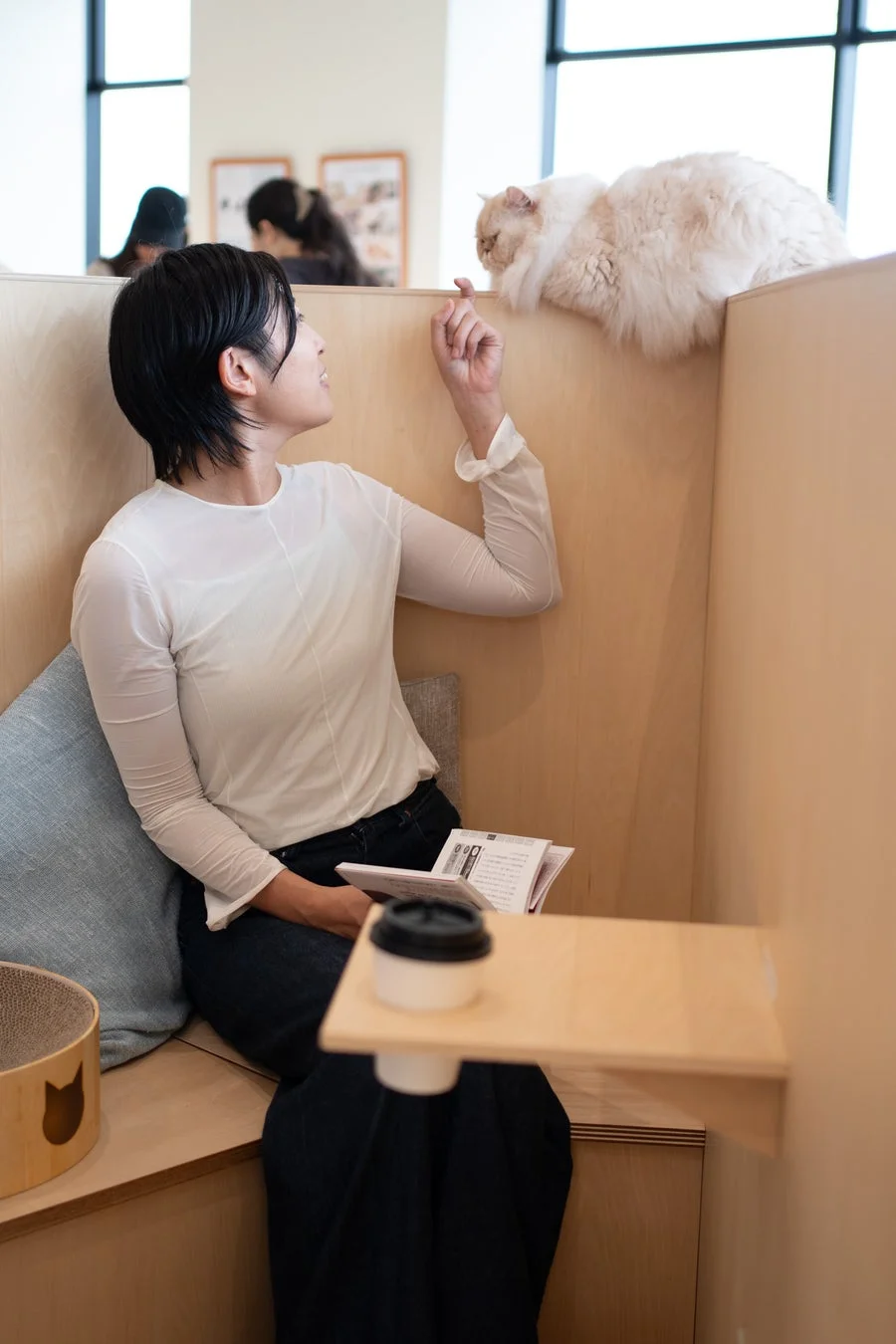 白い猫と触れ合う女性