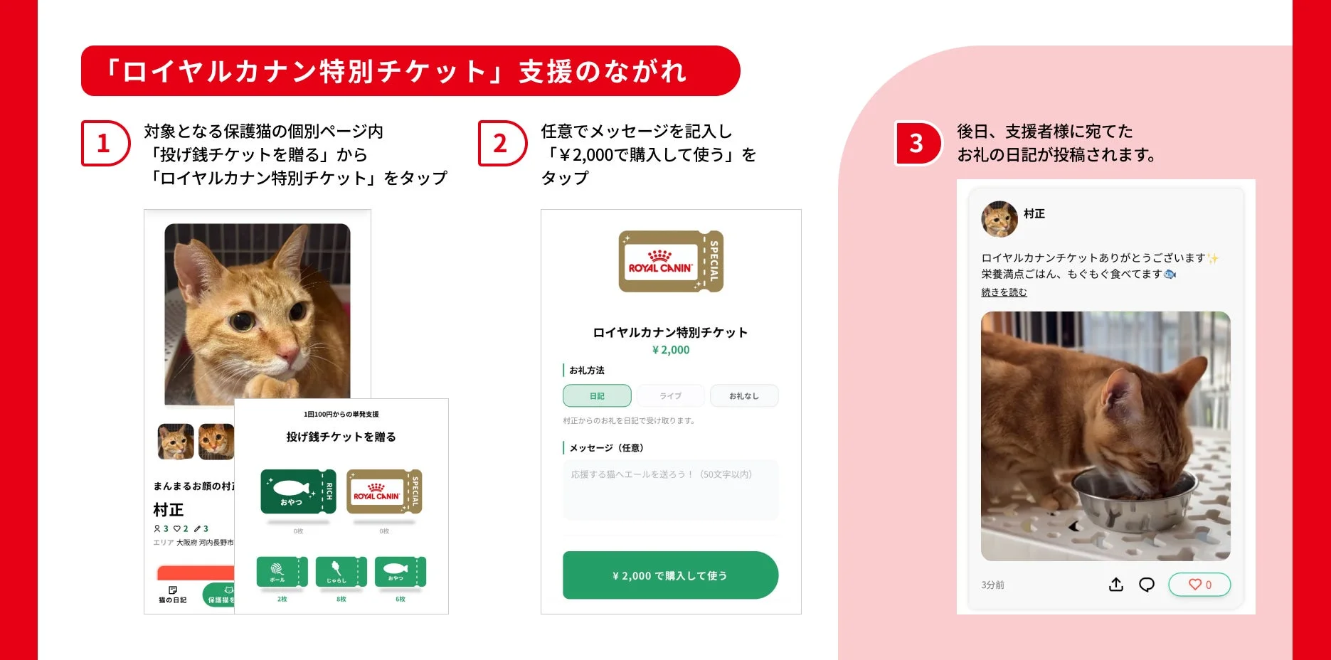 ロイヤルカナン特別チケット支援のながれ