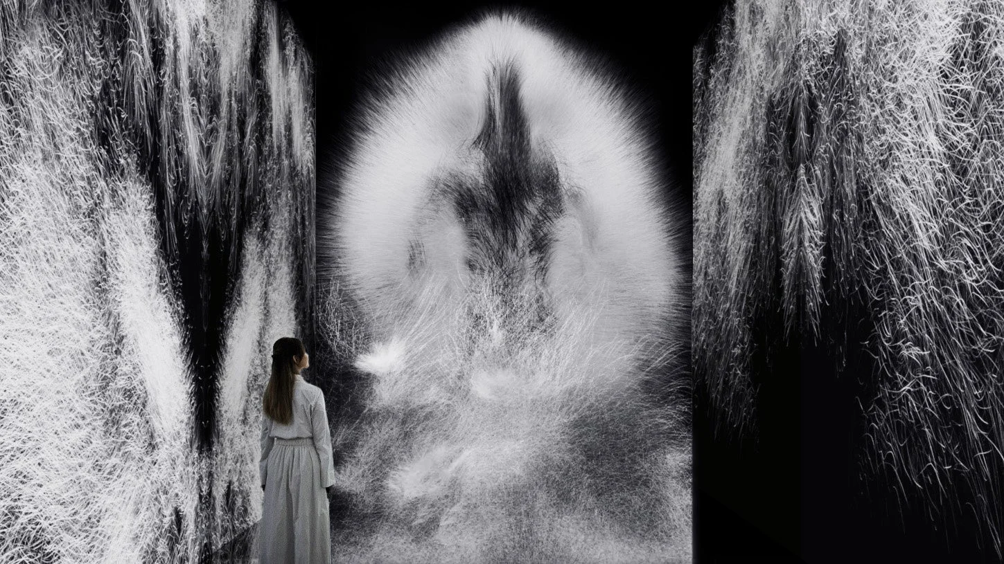 Dissipative Figures - Human