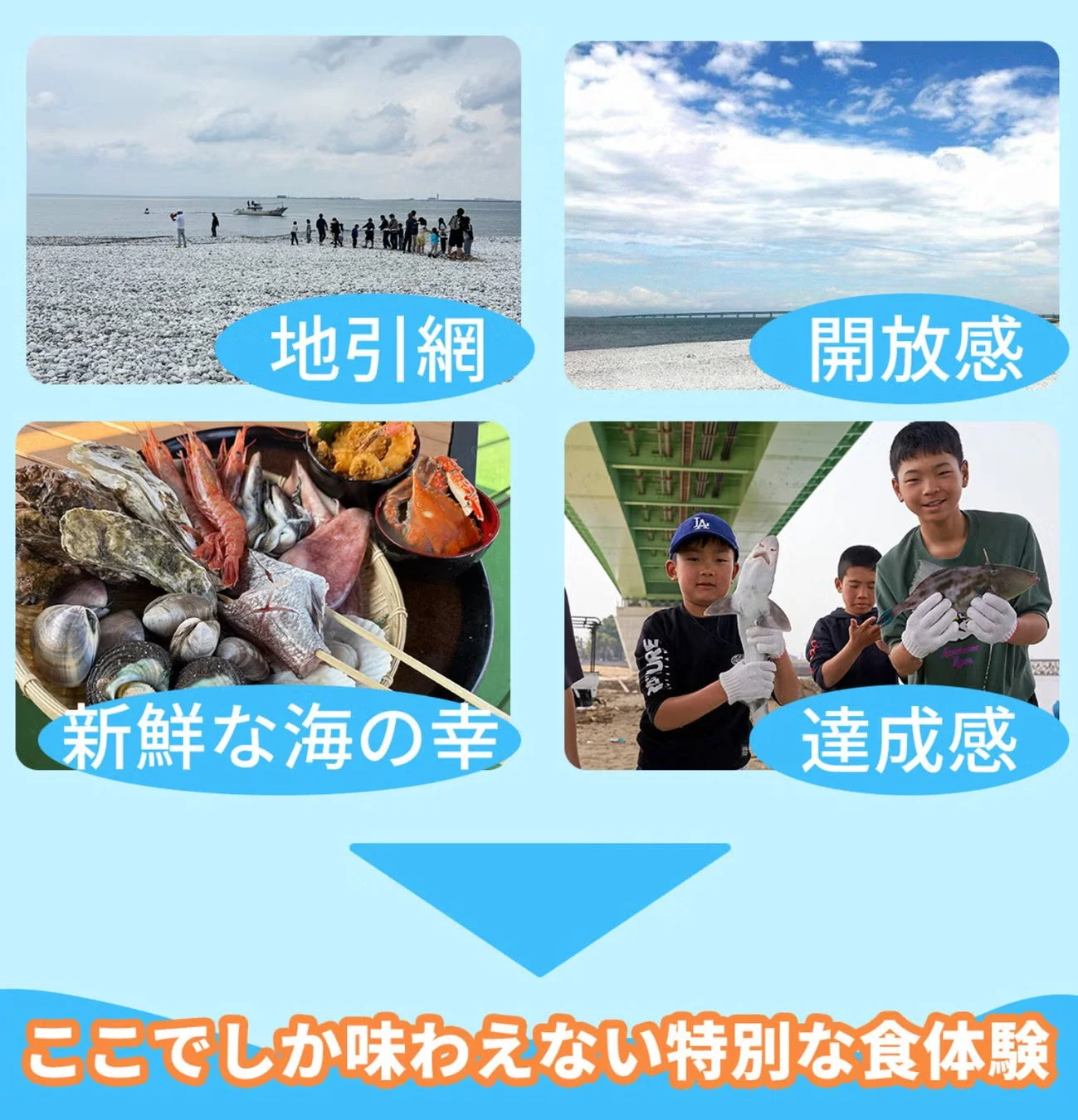 地引網と新鮮な海の幸