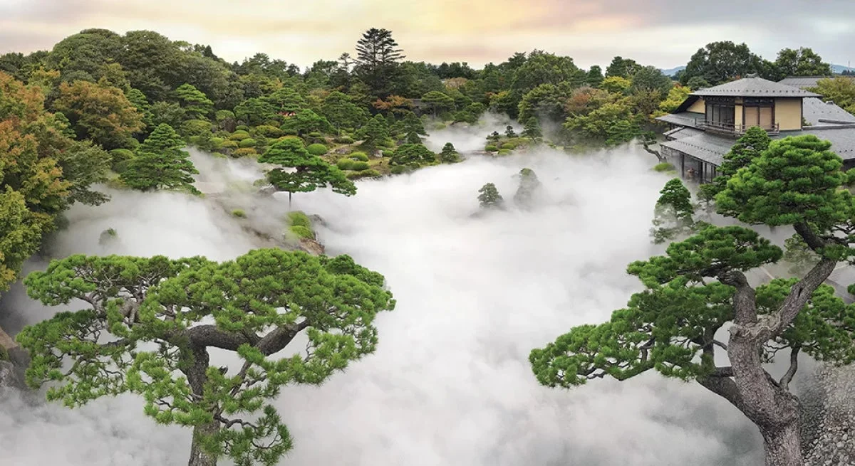 日本庭園、霧、靄、松の木、緑、自然、伝統建築、風景、神秘的、美しい、庭園、屋外