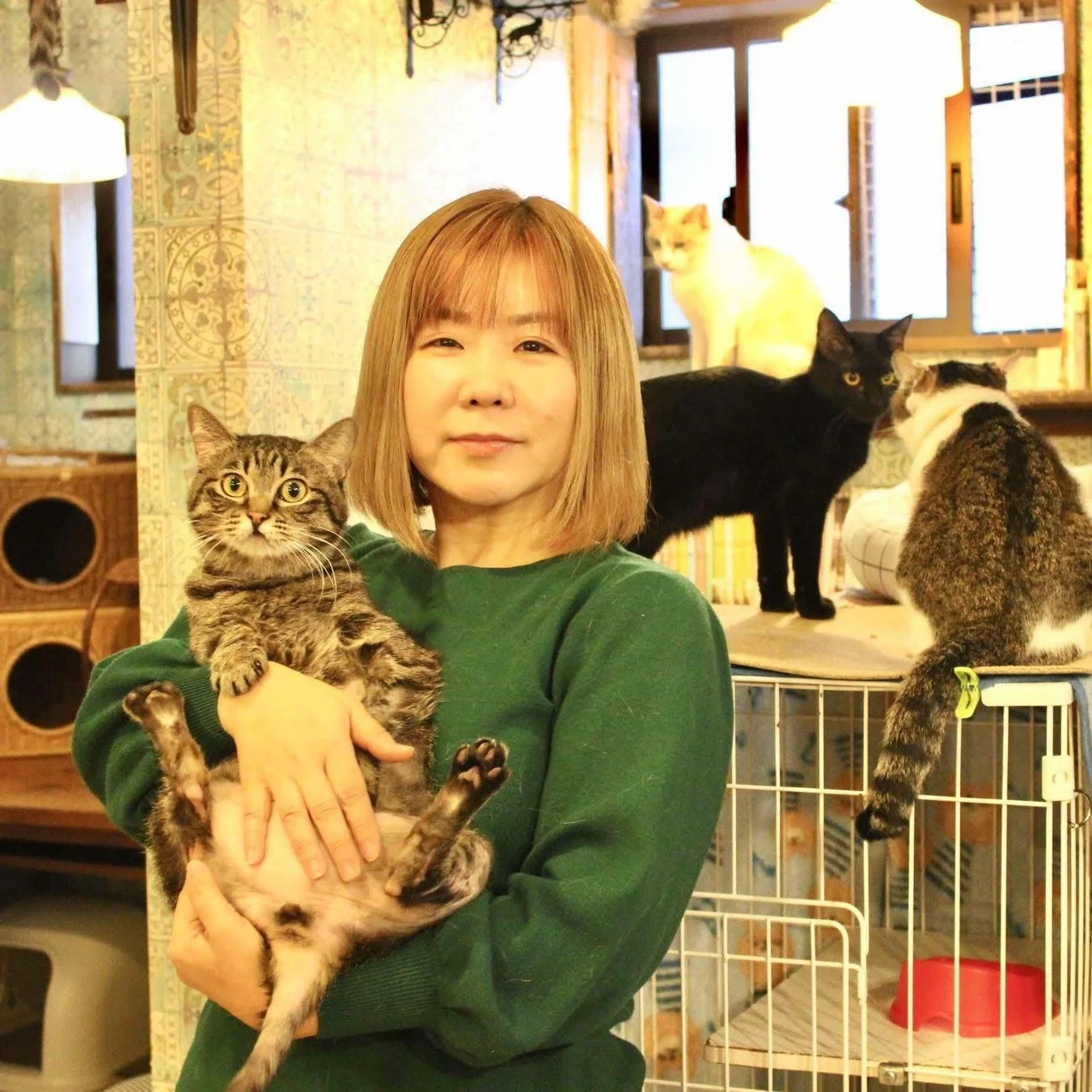 緑色の服を着てタビー猫を抱きかかえる河瀬麻花氏