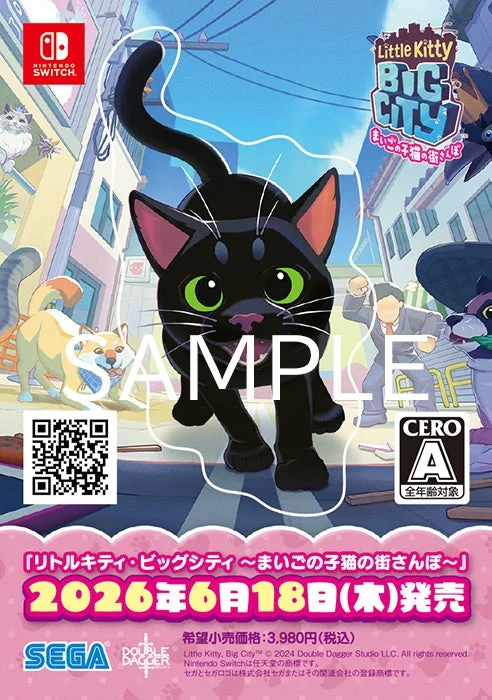 Nintendo Switch版ゲームパッケージ