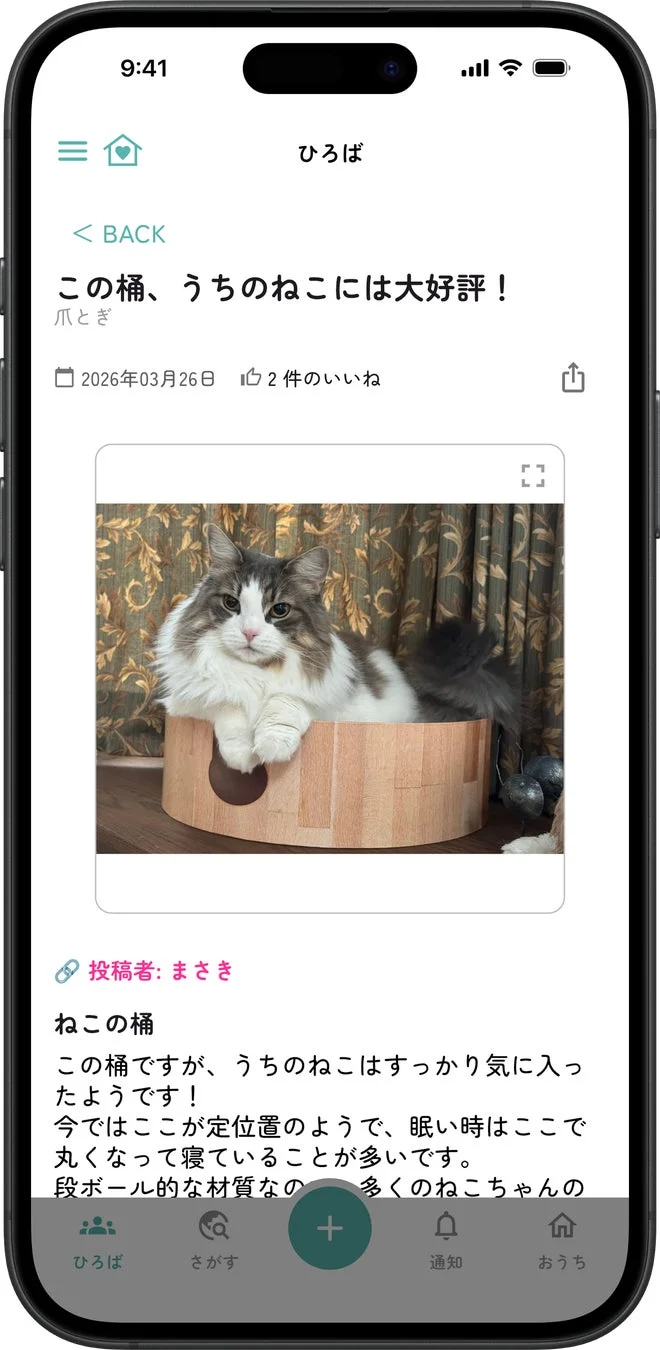 ユーザー投稿の例