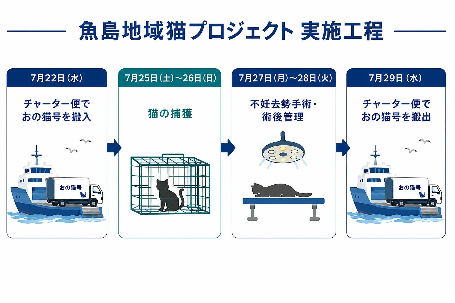 魚島地域猫プロジェクトの実施工程を示す図