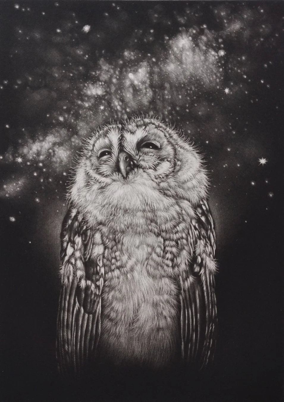 フクロウの星空