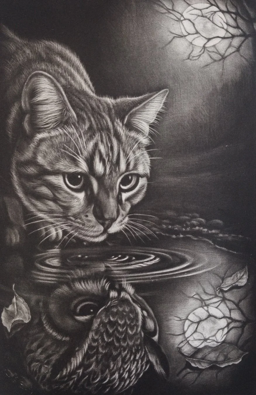 猫とフクロウ