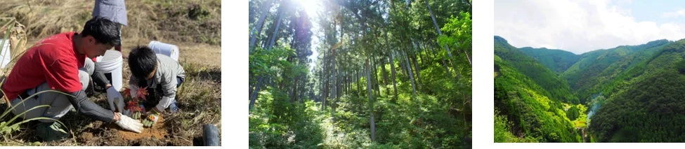 more trees活動イメージ