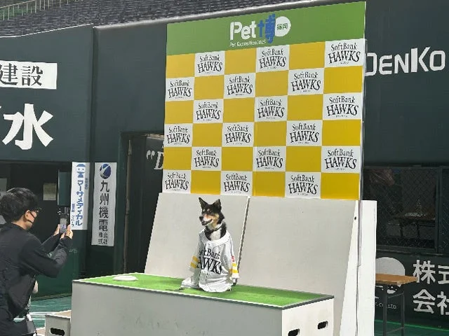 ヒーローインタビューフォトスポット