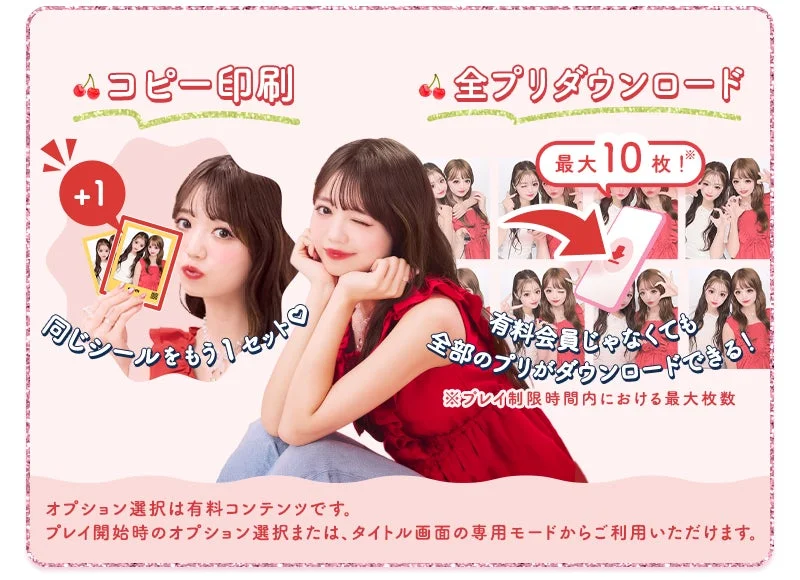オプション選択サービス