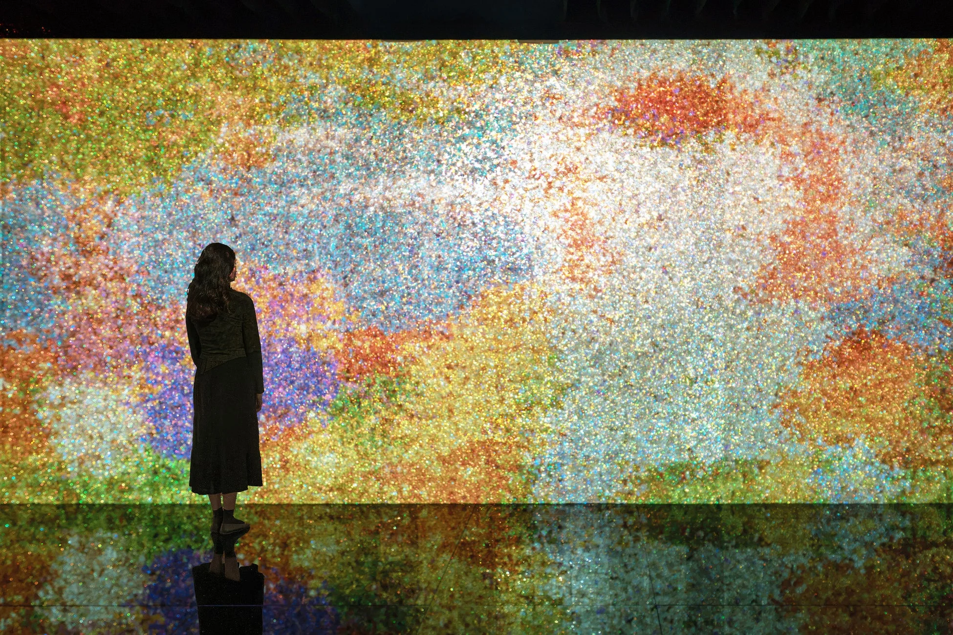 Nirvana: Fleeting Flowers, Radiance Within