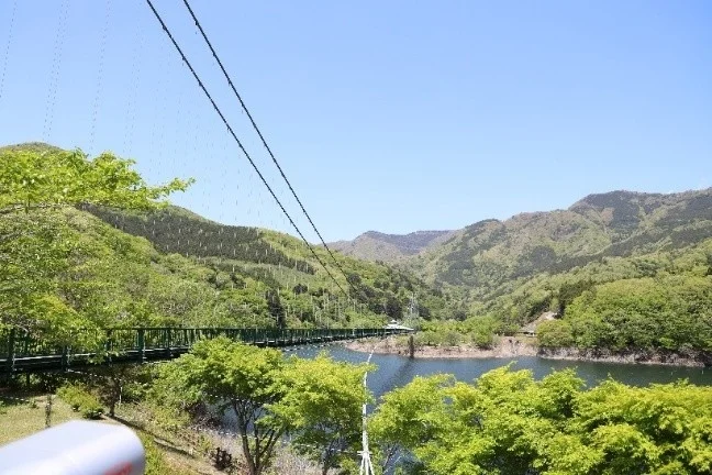 新緑の山々に囲まれた湖に架かる緑色の吊り橋