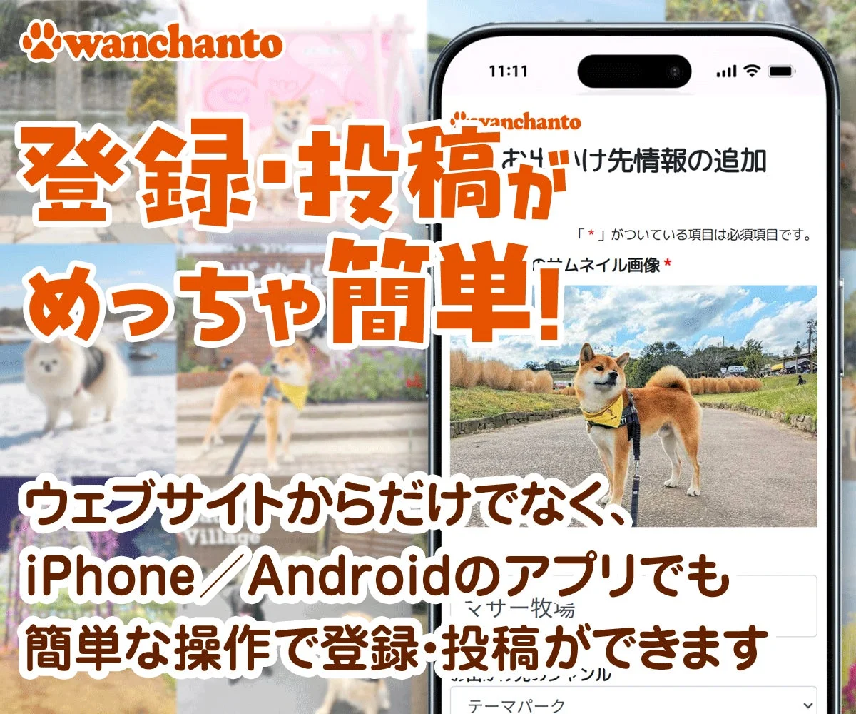登録・投稿がめっちゃ簡単!