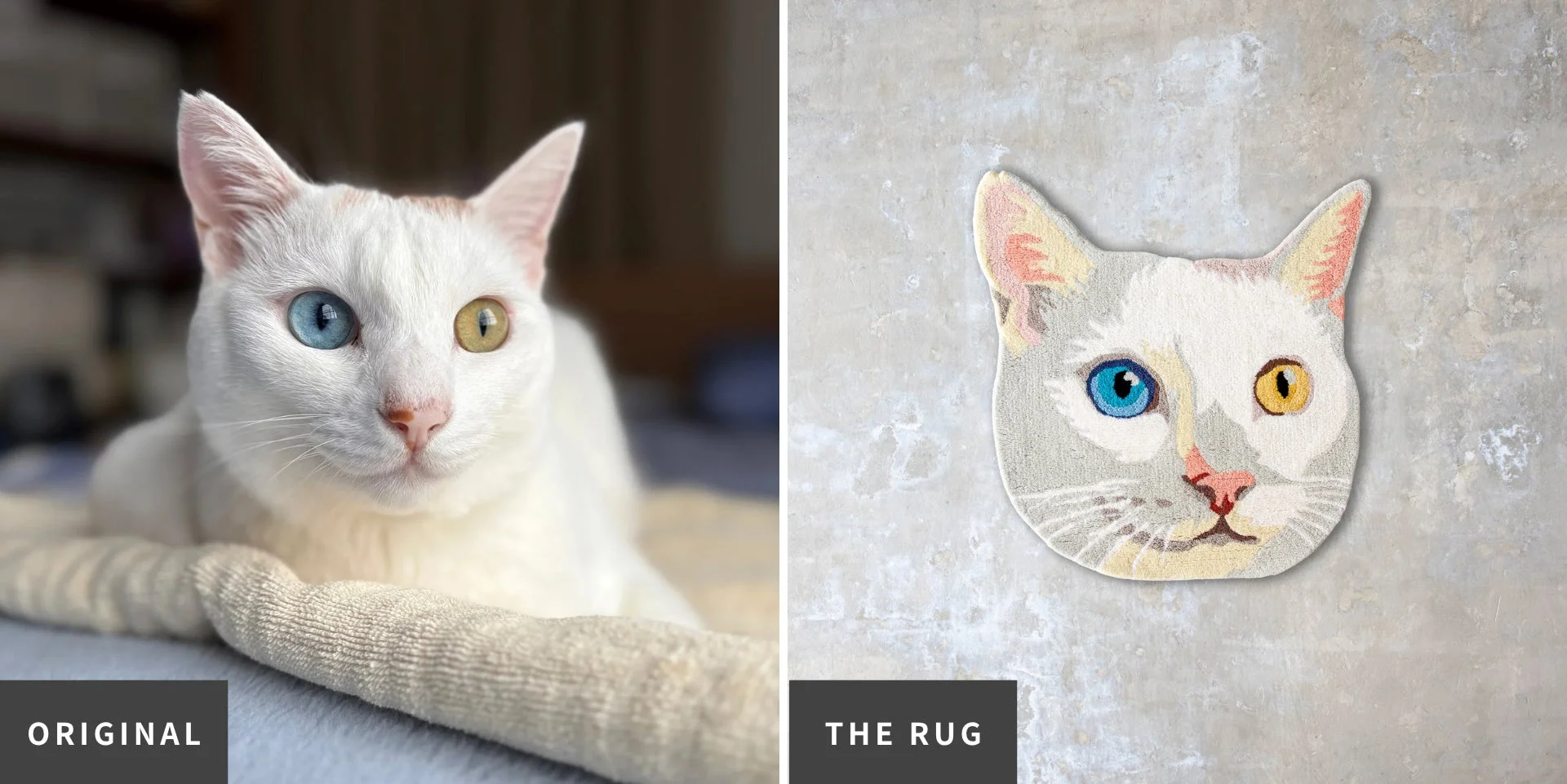 オッドアイの白い猫と制作されたラグ
